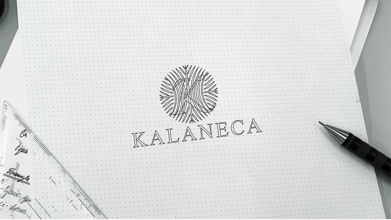 Kalaneca Brand Identity