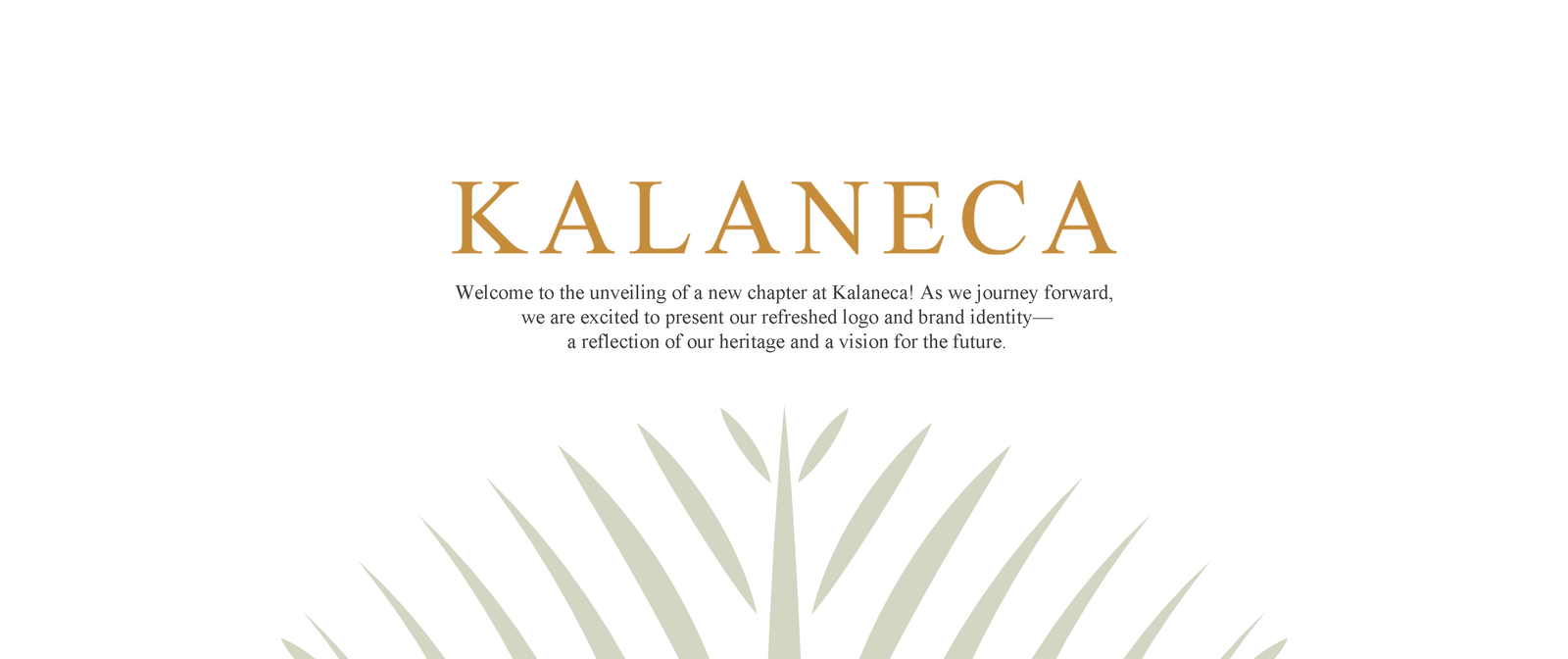 Kalaneca Brand Identity