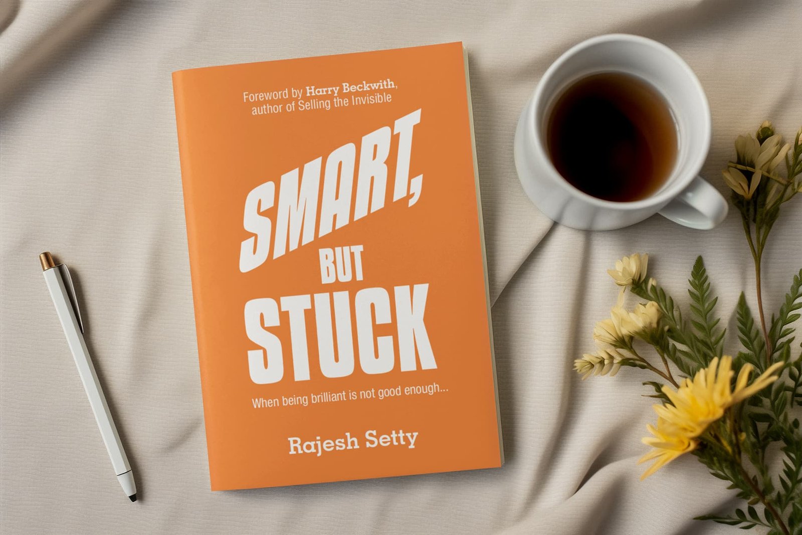 Smart_but_stuck book over design